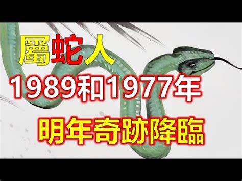 屬蛇的貴人|屬蛇出生年份+2024今年幾多歲｜屬蛇性格特徵＋最新 